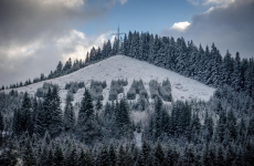 20-M-rea.-Putna